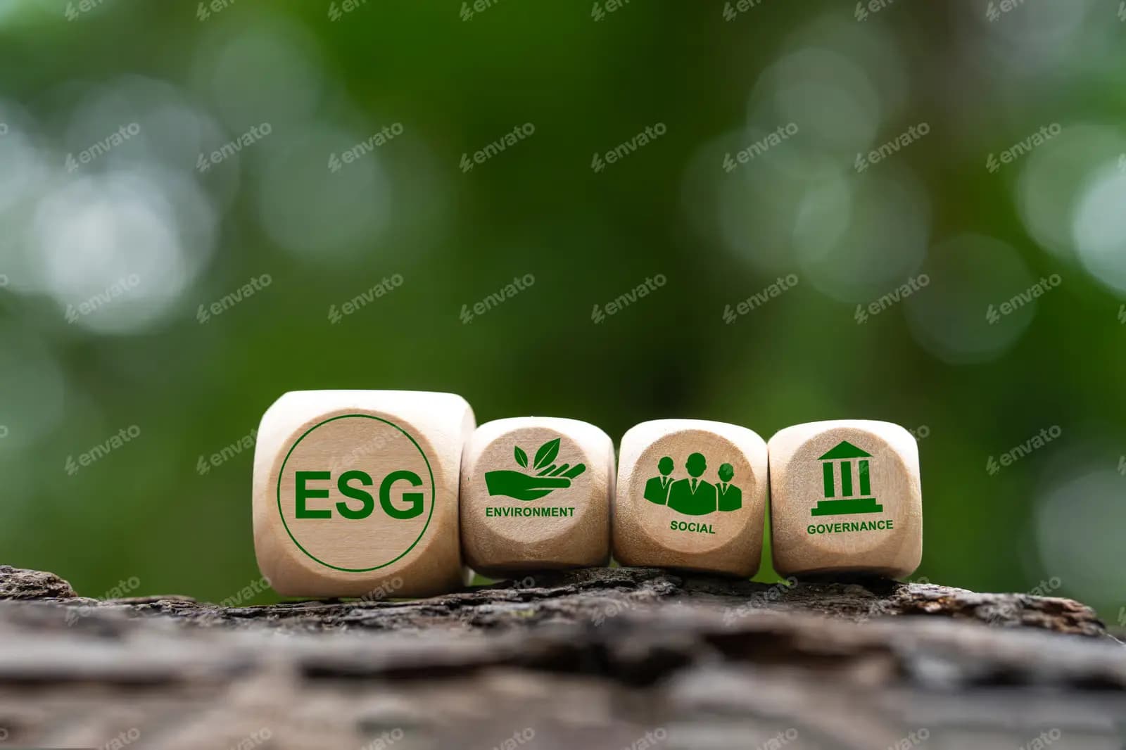 Sustainability Governance & ESG Framework